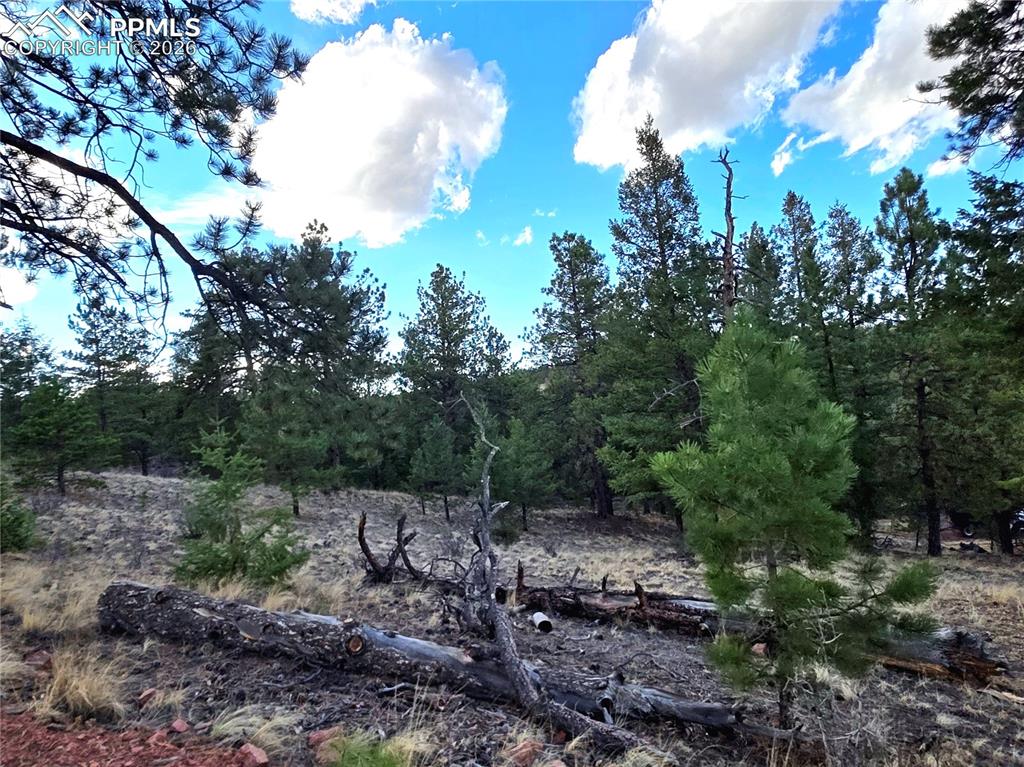 204 Pine Road Florissant, CO 80816 - Photo 4 of 27