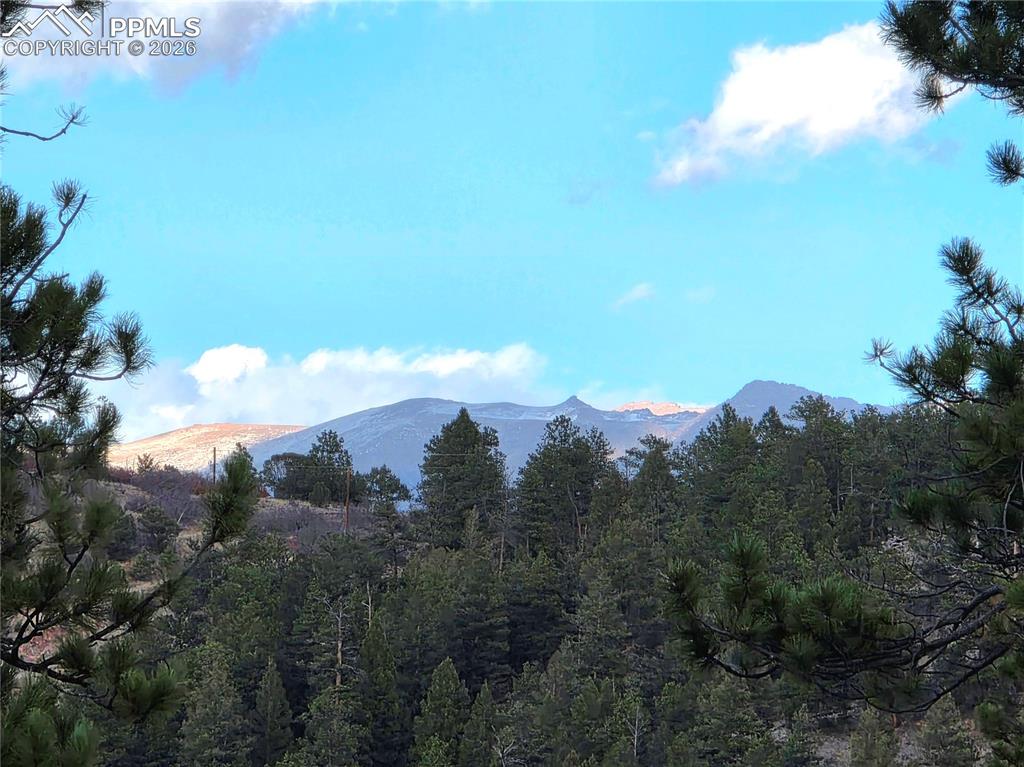 204 Pine Road Florissant, CO 80816 - Photo 5 of 27