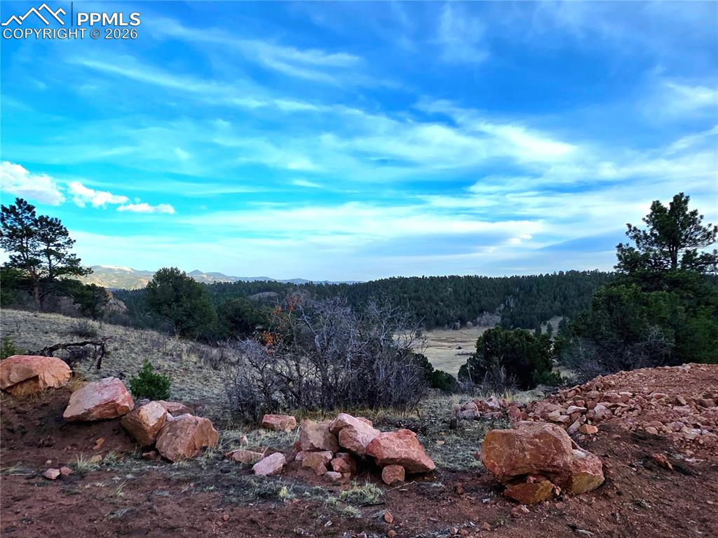 204 Pine Road Florissant, CO 80816 - Photo 7 of 27