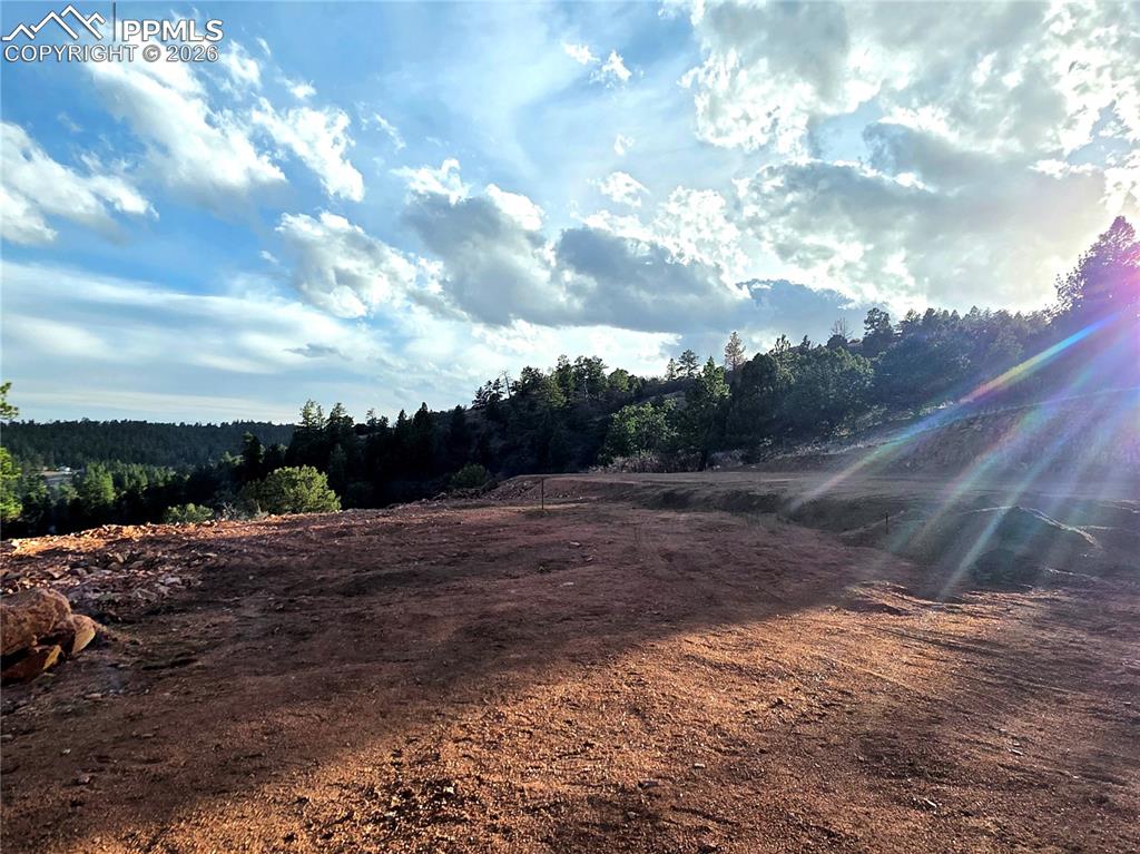 204 Pine Road Florissant, CO 80816 - Photo 8 of 27