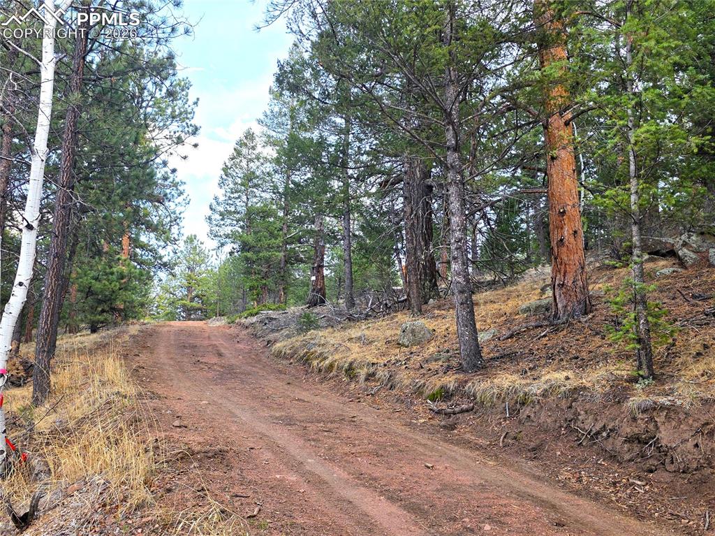 204 Pine Road Florissant, CO 80816 - Photo 9 of 27 North side Driveway