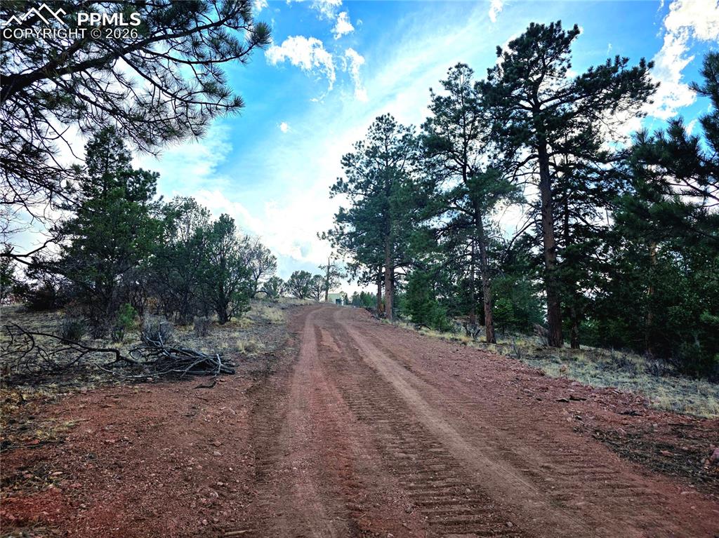 204 Pine Road Florissant, CO 80816 - Photo 10 of 27 East driveway