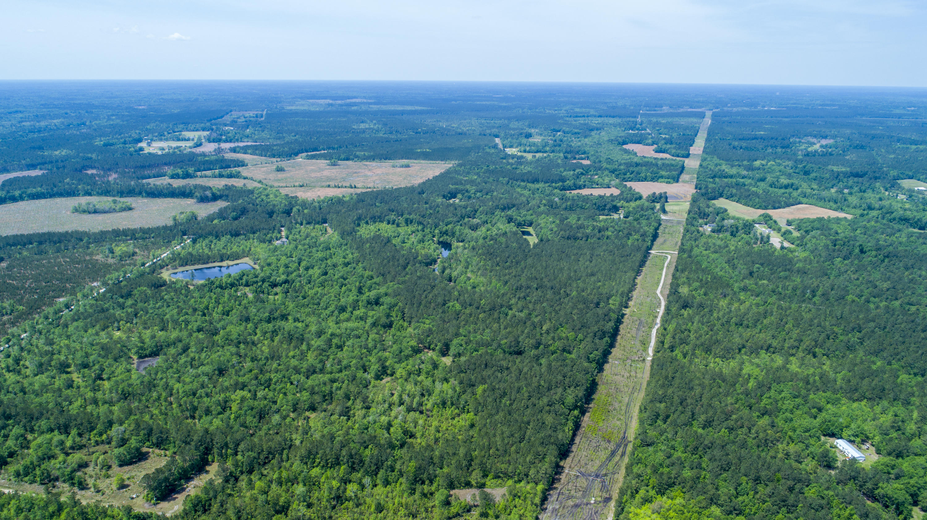 3600 Red Oak Road Cottageville, SC 29435 - Photo 14 of 31 RedOak