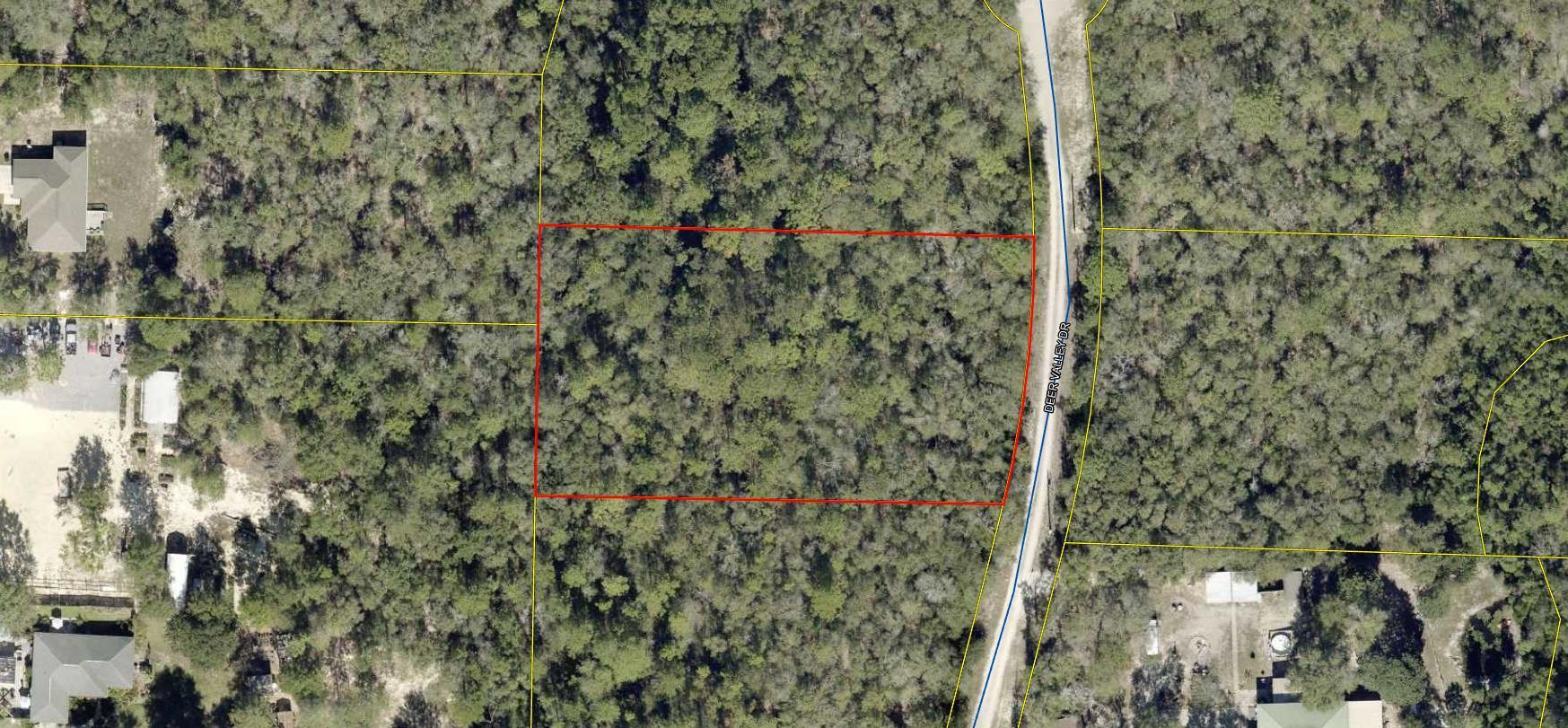 0 Deer Valley Road DeFuniak Springs, FL 32433 - Photo 2 of 6 a close up of a plant