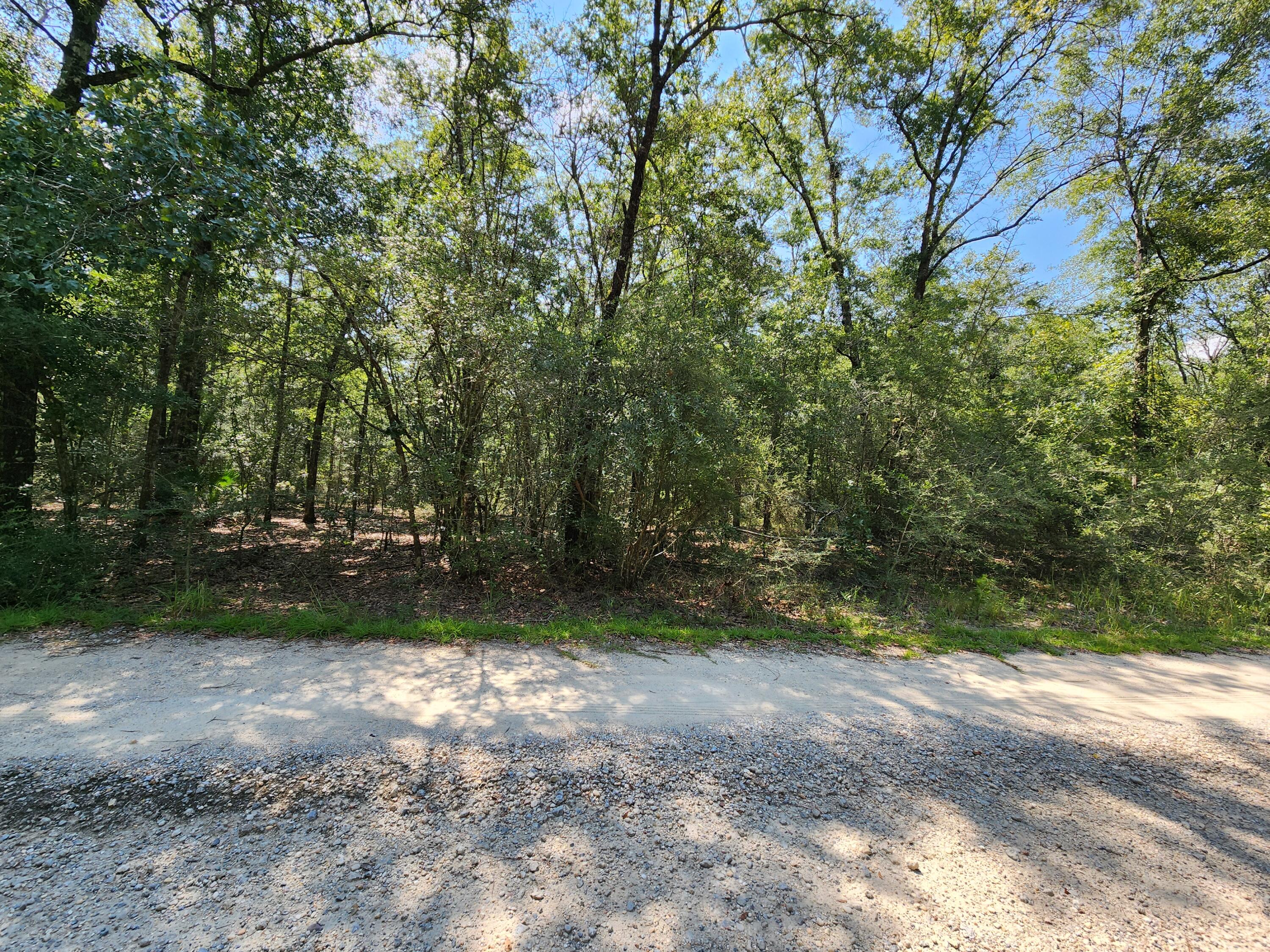 0 Deer Valley Road DeFuniak Springs, FL 32433 - Photo 3 of 6 a view of backyard with green space