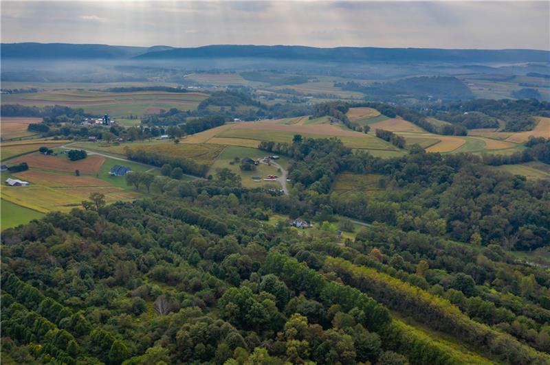147 Anna Goodman Road Latrobe, PA 15650 - Photo 8 of 19 Gallery Image 8