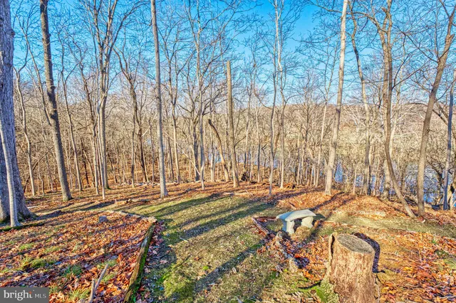 $939,900 | 222 Barred Owl Lane, Boyce, VA 22620