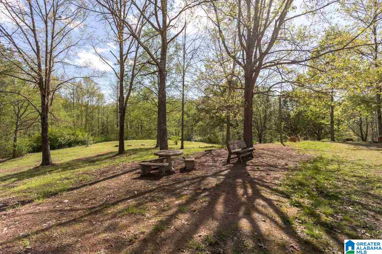2172 Ross Lake Road Wellington, AL 36279 - Photo 42 of 45