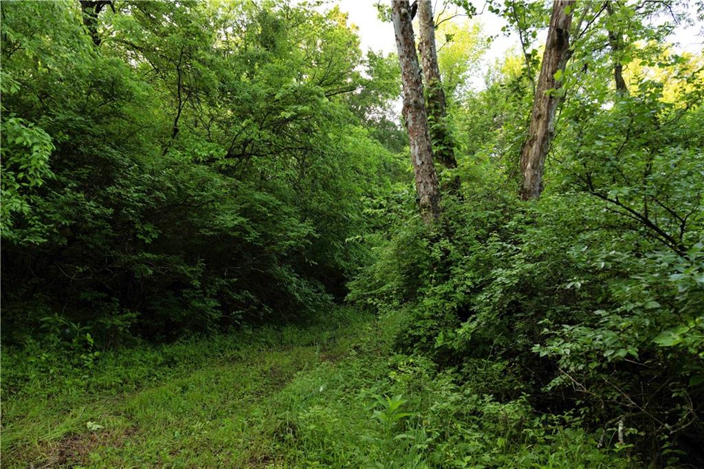 Wilderness Camp Road Lawson, MO 64062 - Photo 24 of 90