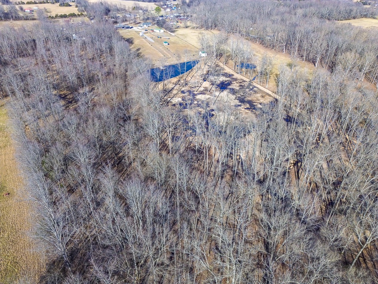 182 Old Camargo Road Fayetteville, TN 37334 - Photo 45 of 59 a view of a dry yard