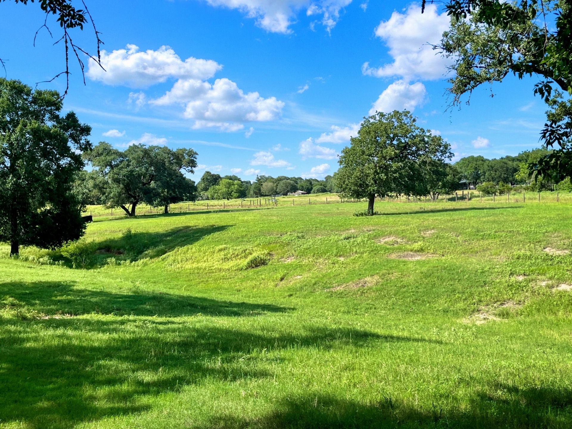2230 County Road 201 Weimar, TX 78962 - Photo 22 of 30