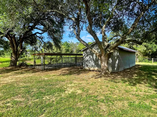 a view of backyard with tree