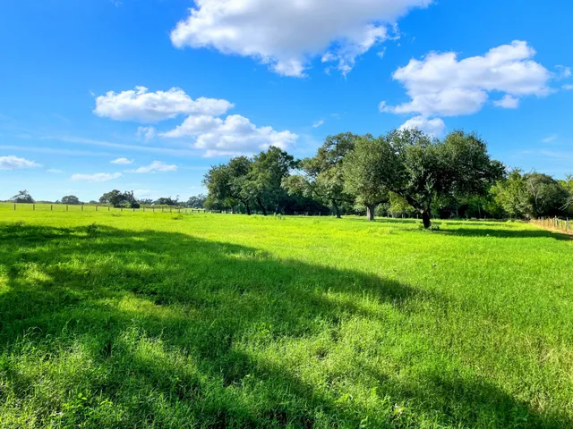 a view of a golf course with yellow lighting