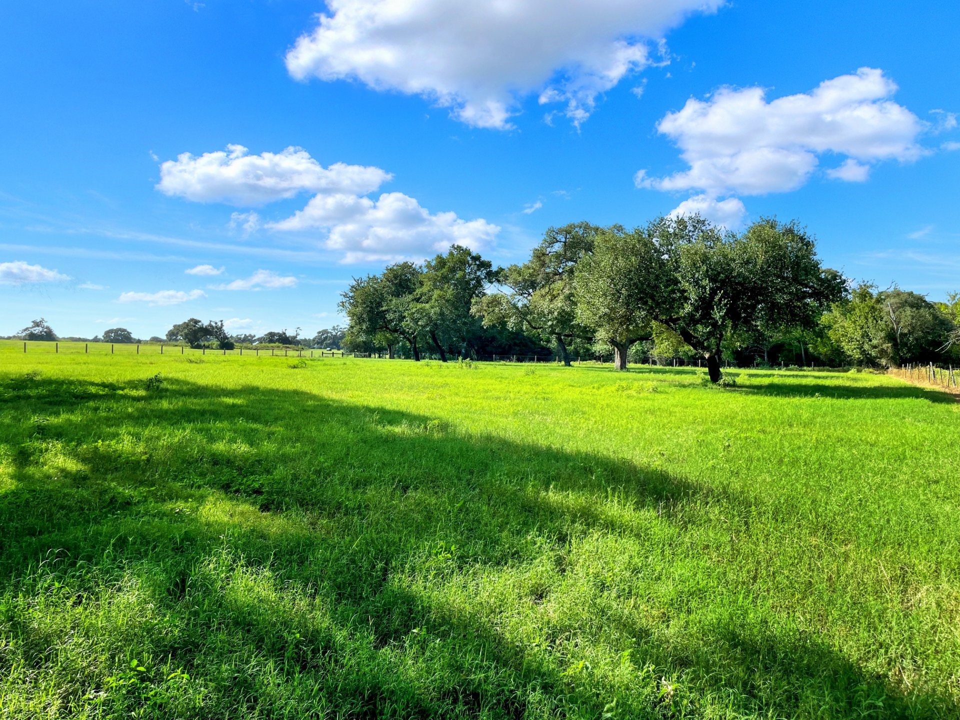 2230 County Road 201 Weimar, TX 78962 - Photo 8 of 30