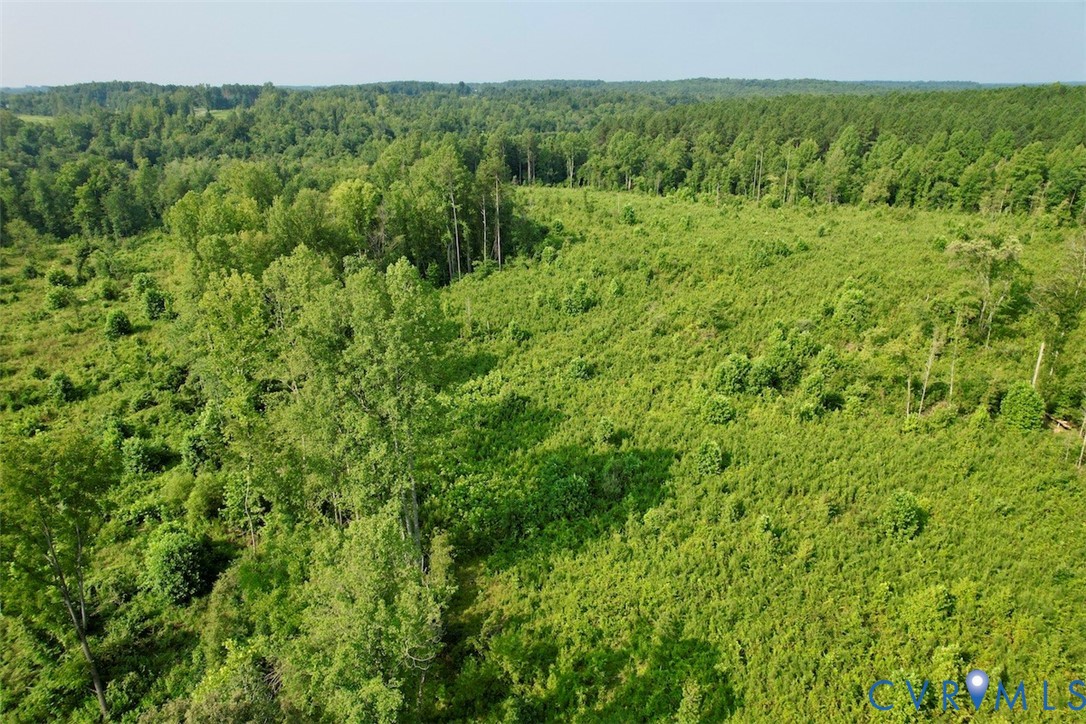 5211 Indian Oak Road Crewe, VA 23930 - Photo 19 of 23 Expansive treed parcel featuring a mix of mature a