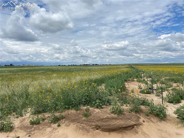 6451 South Johnson Road Rush, CO 80833 - Photo 8 of 46 North Fence Line running West & East