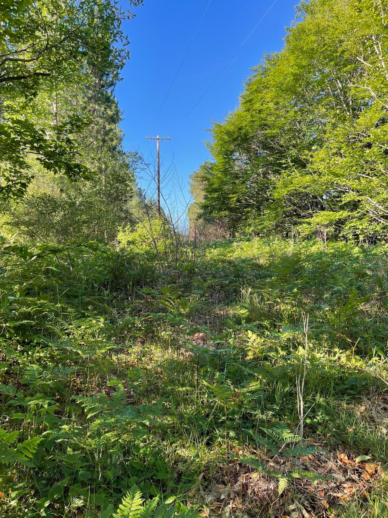 East Spruce Road Mio, MI 48647 - Photo 9 of 13