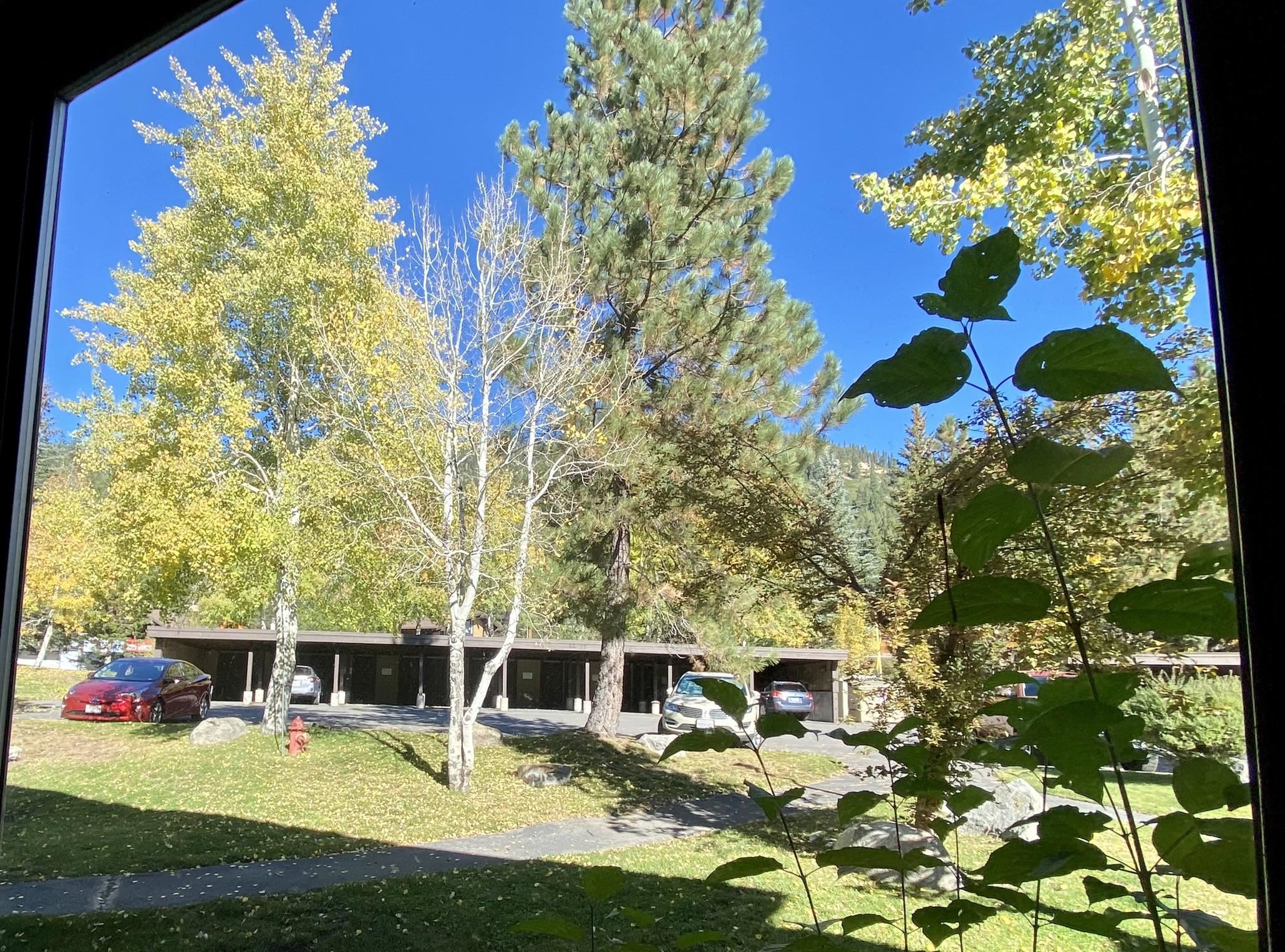 1591 Olympic Vly Road, Unit 28 Olympic Valley, CA 96146 - Photo 16 of 18 a view of a house with swimming pool and sitting area