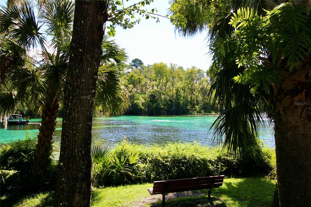 19786 Southwest 85th Loop Dunnellon, FL 34432 - Photo 69 of 91 Gallery Image 69