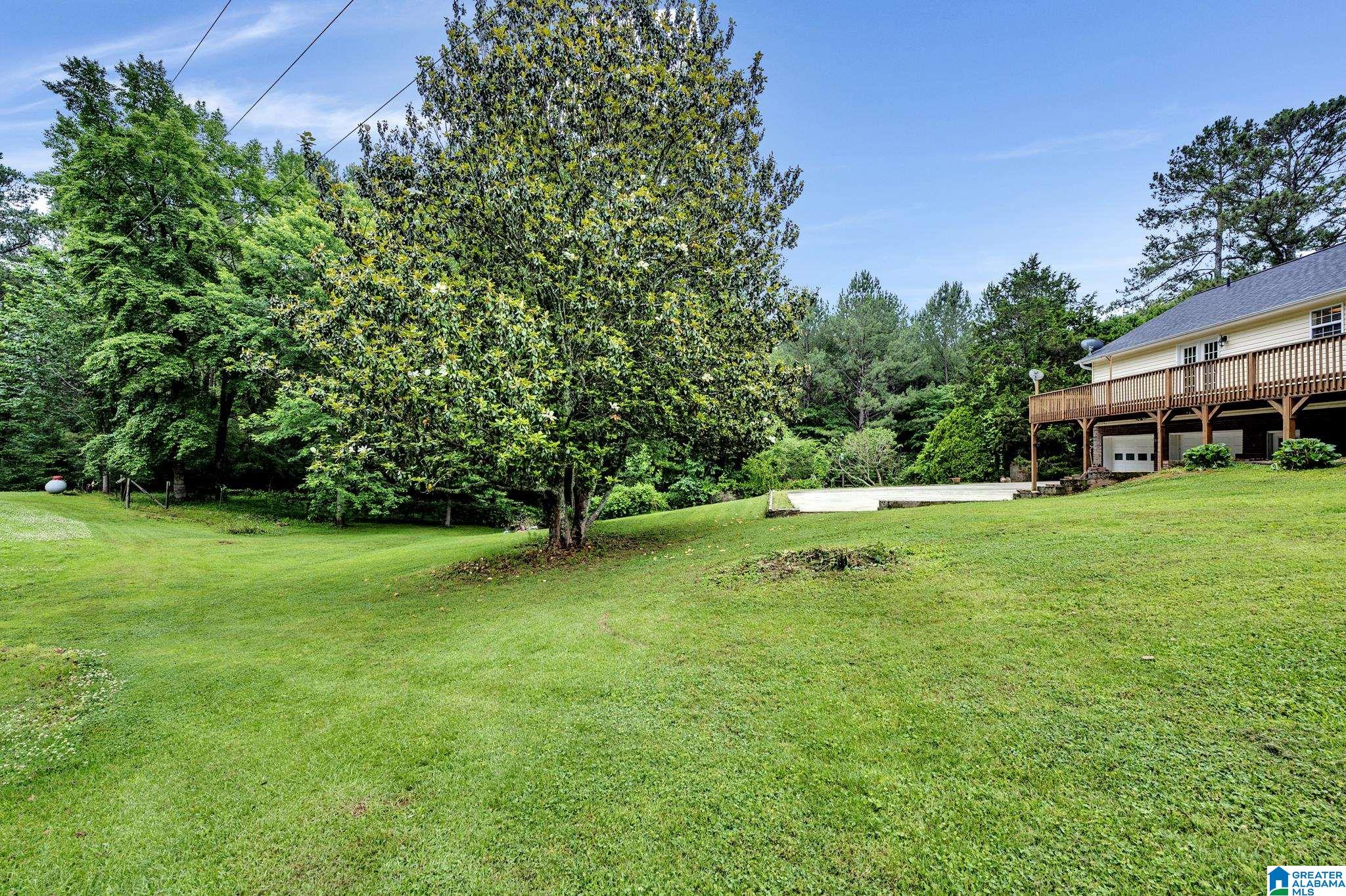 8901 Central Road Warrior, AL 35180 - Photo 26 of 29