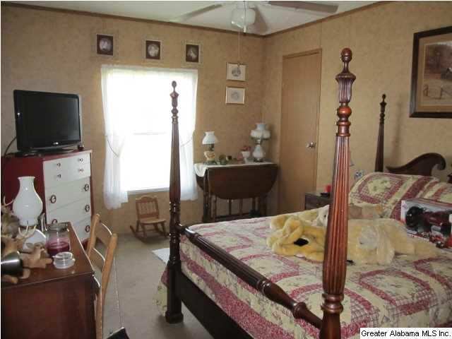 155 Stage Road Lincoln, AL 35096 - Photo 9 of 12