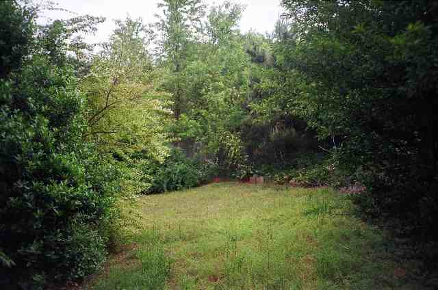 101 Windward Court Pendleton, SC 29670 - Photo 6 of 7