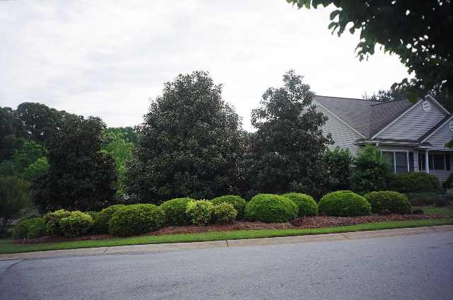 101 Windward Court Pendleton, SC 29670 - Photo 7 of 7