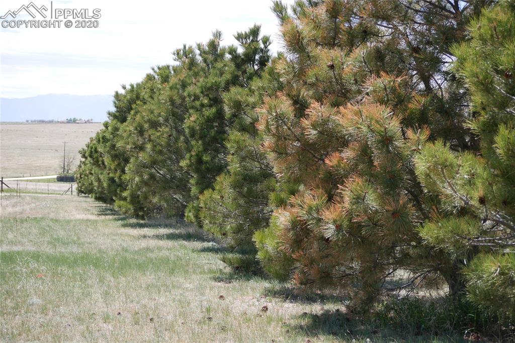 22850 Murphy Road Calhan, CO 80808 - Photo 46 of 49