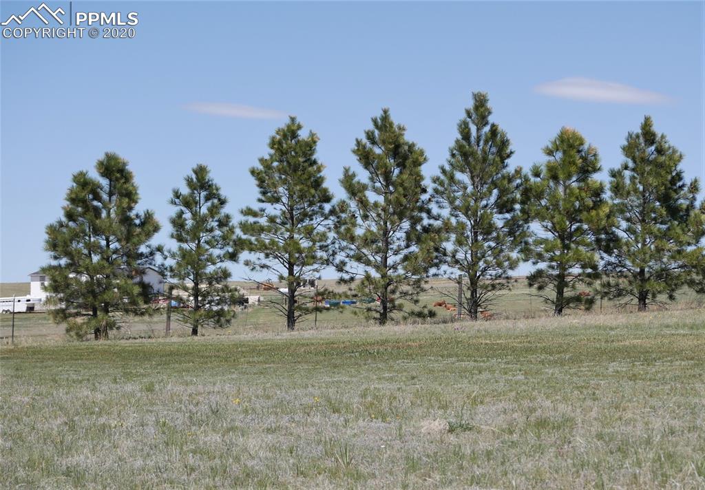 22850 Murphy Road Calhan, CO 80808 - Photo 48 of 49