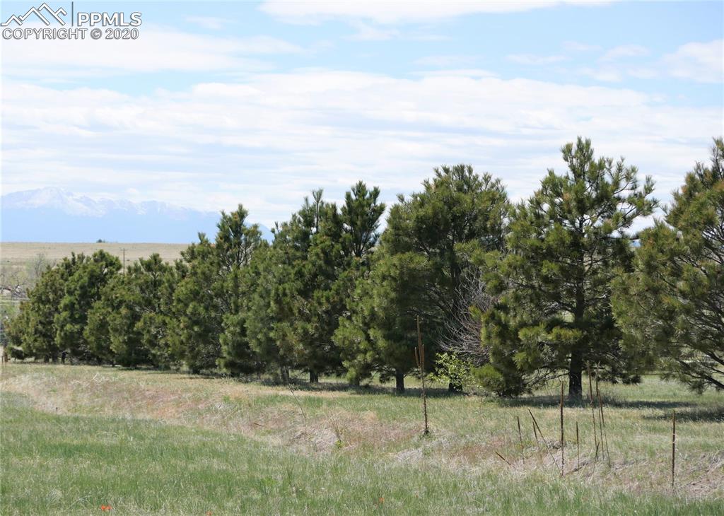 22850 Murphy Road Calhan, CO 80808 - Photo 49 of 49