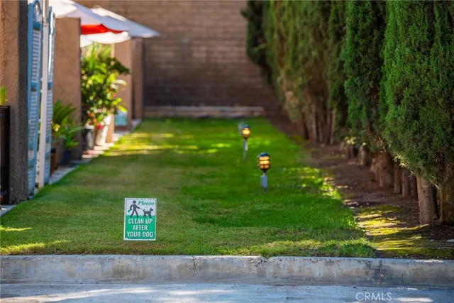 a view of a backyard