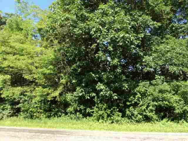 Tract 2 Little Galilee Road Maroa, IL 61727 - Photo 1 of 1