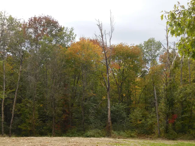 $48,000 | 48 Hart Street, Newport, ME 04953