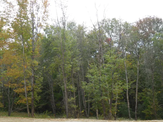 $48,000 | 48 Hart Street, Newport, ME 04953