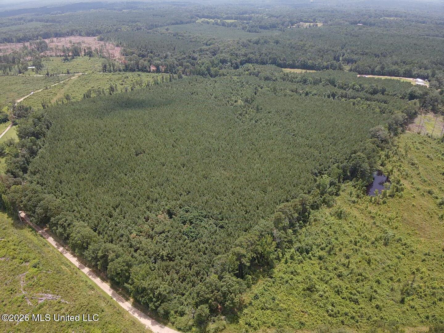 131 B County Road Morton, MS 39117 - Photo 11 of 25 2026-07-05-13-44-26-805