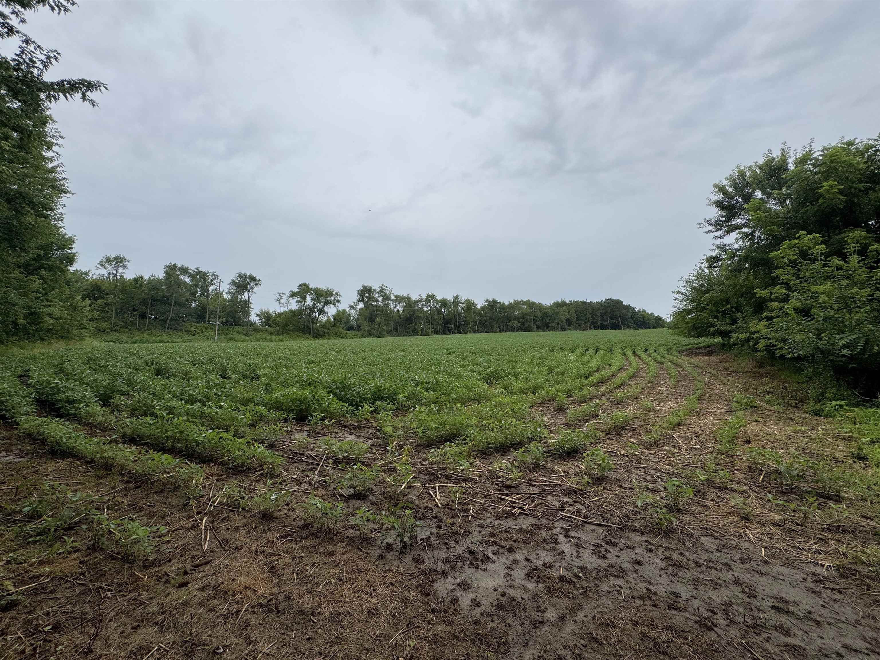 W6430 Patterson Road Monroe, WI 53566 - Photo 81 of 85