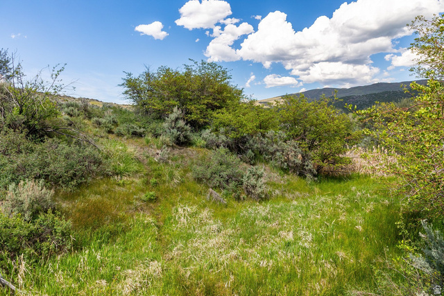 6325 North Elk Ridge, Unit 5 Peoa, UT 84061 - Photo 13 of 20