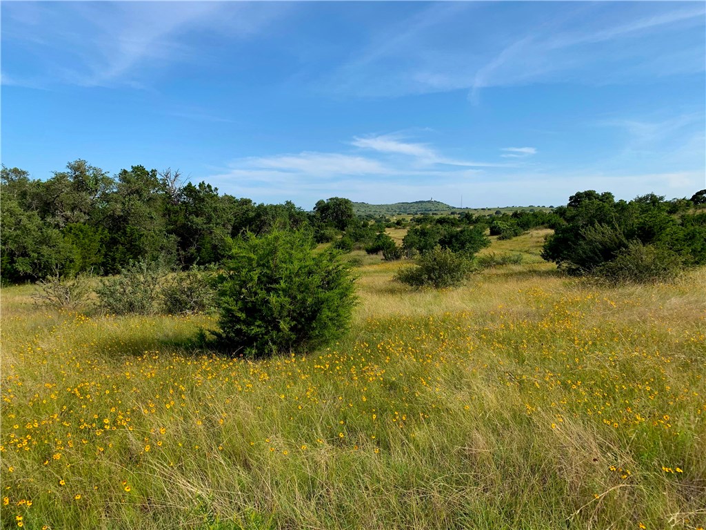 9 Odiorne Road Johnson City, TX 78636 - Photo 1 of 1