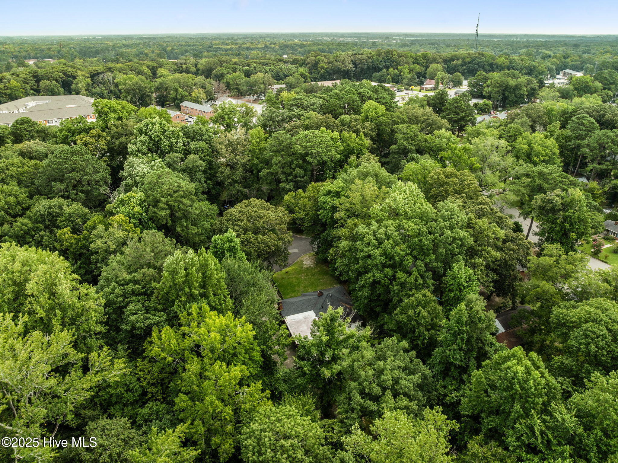 2506 Madison Circle Greenville, NC 27858 - Photo 45 of 45 10-web-or-mls-DJI_0379