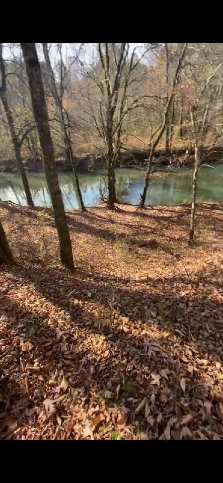 733 Athens Road Calhoun, TN 37309 - Photo 13 of 15 Gallery Image 13