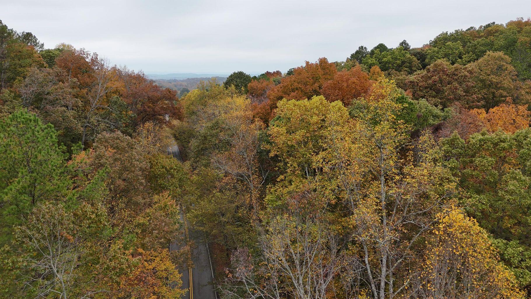 0 Lower River Road Northwest Georgetown, TN 37336 - Photo 8 of 13 20250708155327811753000000-o