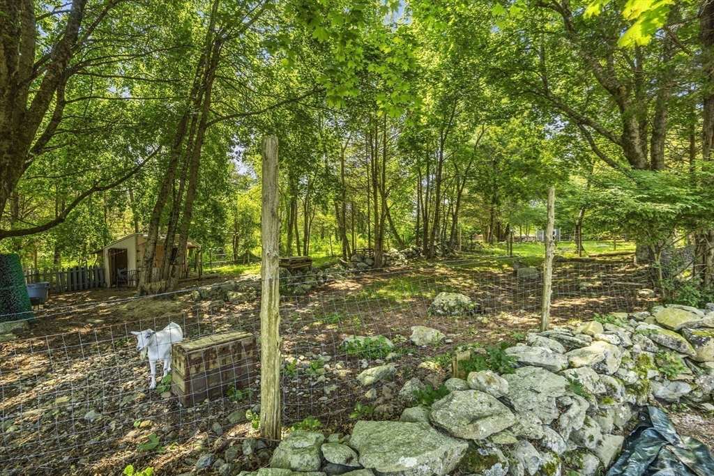 219 Hornbine Road Rehoboth, MA 02769 - Photo 32 of 42 Gallery Image 32