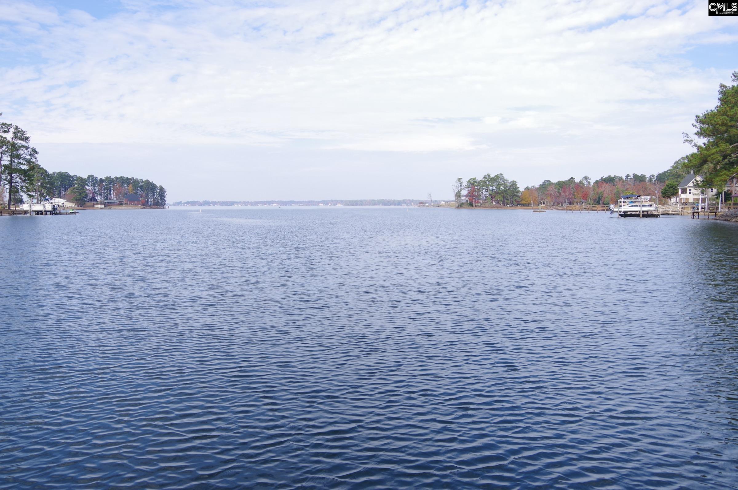 1331 Camping Road Gilbert, SC 29054 - Photo 39 of 40