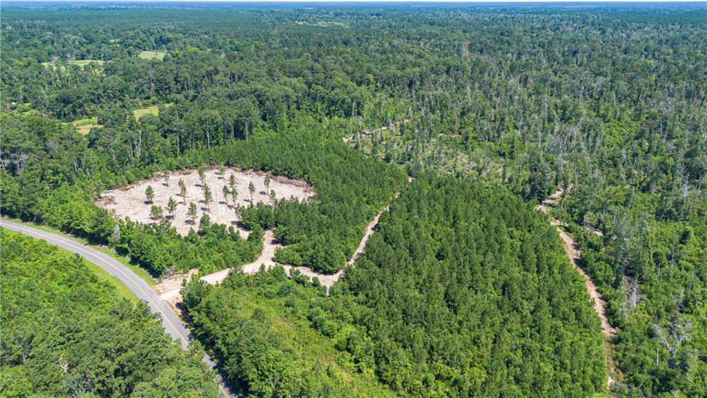 Lot C Ten Mile Road Pitkin, LA 70656 - Photo 11 of 13