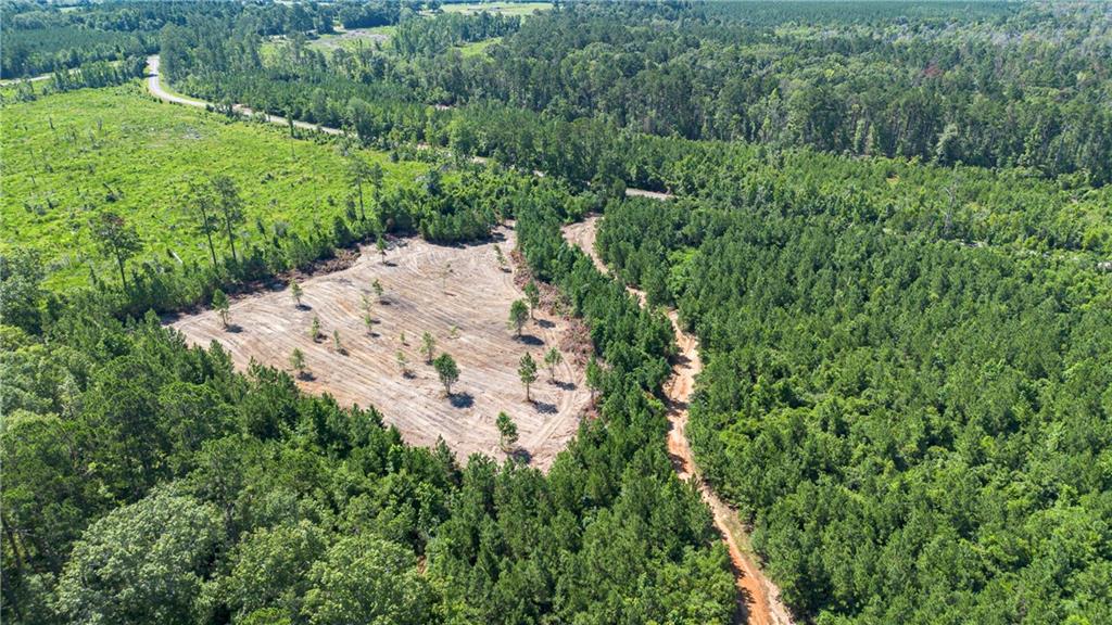 Lot C Ten Mile Road Pitkin, LA 70656 - Photo 6 of 13