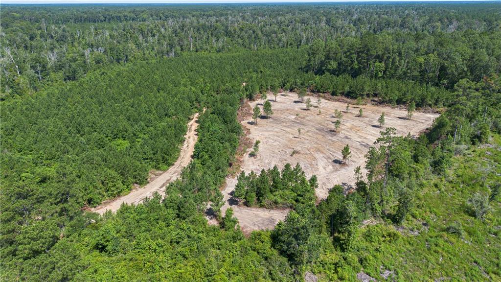 Lot C Ten Mile Road Pitkin, LA 70656 - Photo 8 of 13