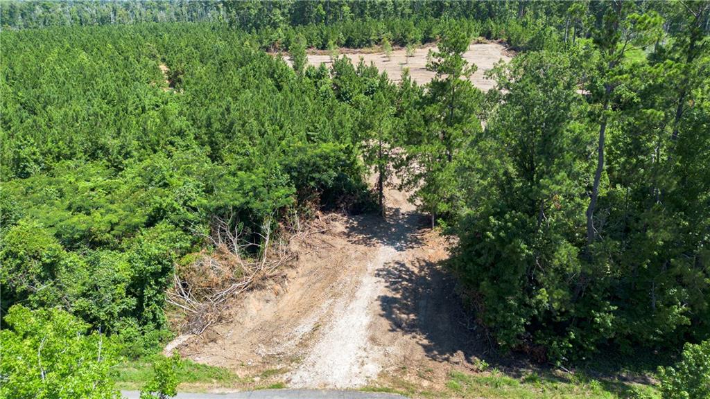 Lot C Ten Mile Road Pitkin, LA 70656 - Photo 9 of 13