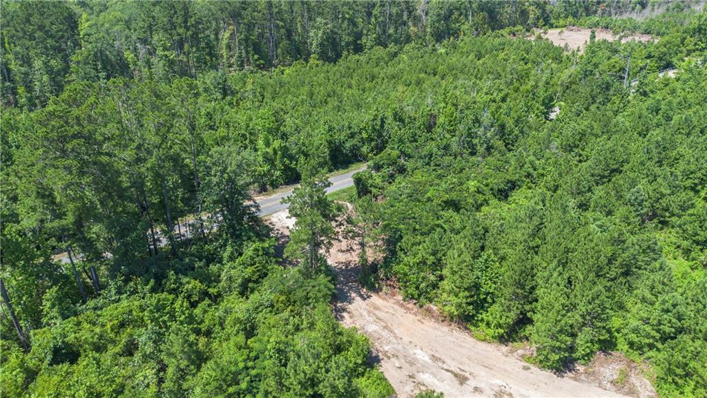 Lot C Ten Mile Road Pitkin, LA 70656 - Photo 10 of 13