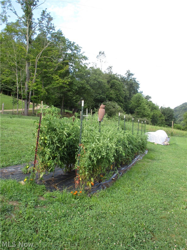 906 Co Rte 19/7 West Union, WV 26456 - Photo 26 of 35