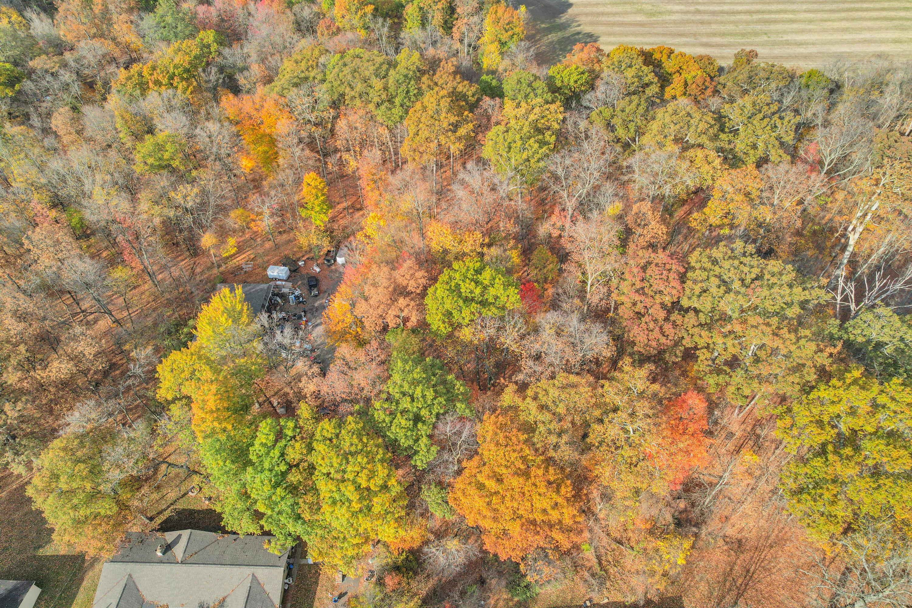 13645 Wagram Road Northwest Pickerington, OH 43147 - Photo 48 of 52 73-print-dji_fly_20241101_102536_369_173